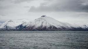 julekalender-luke-24